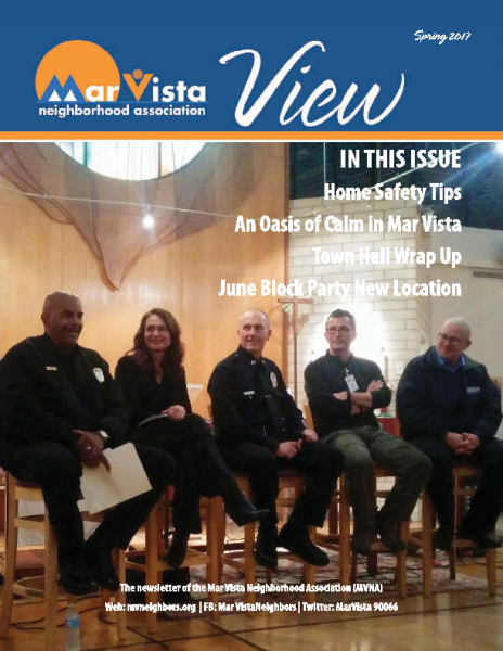 MVNA View Spring 2017