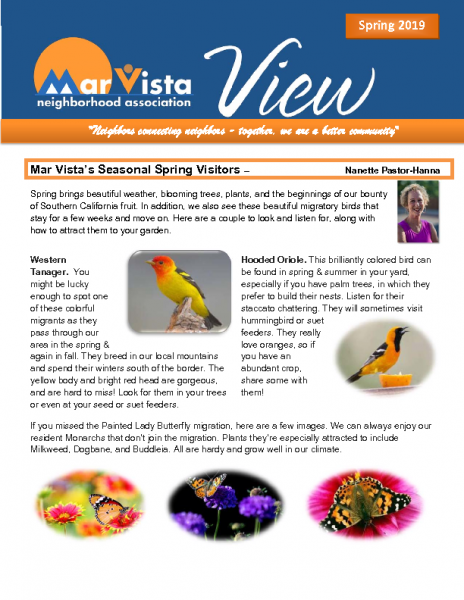 MVNA View Spring 2019